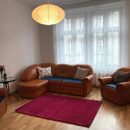 Center Beautiful And Spacious Апартаменты Гливице